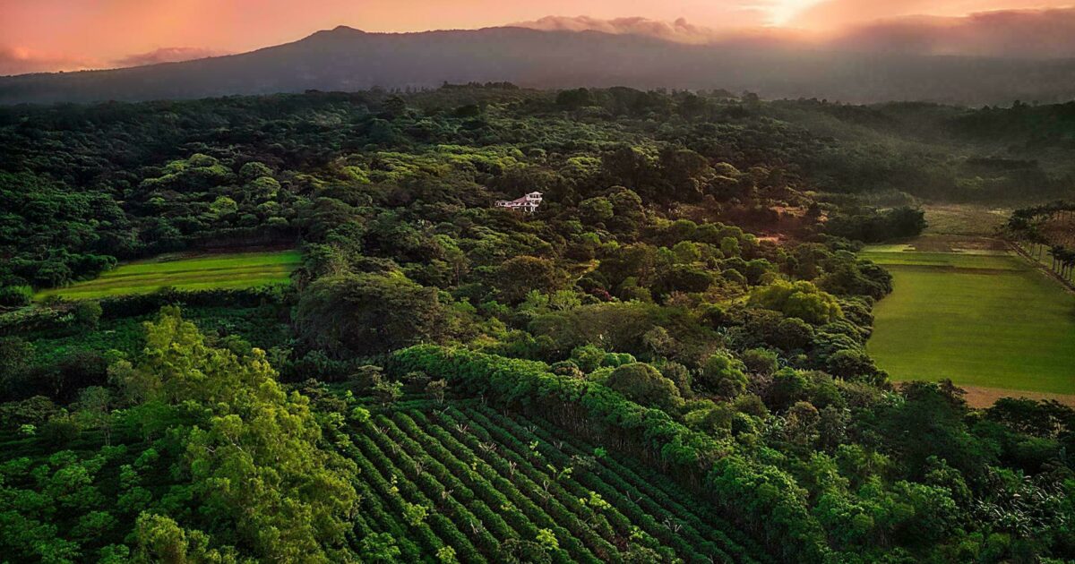 The 5 Most Popular Tourist Places to Visit in Costa Rica