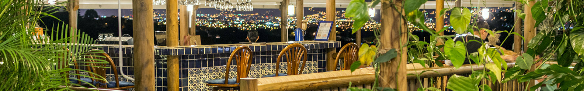 Tigre vestido restaurant night