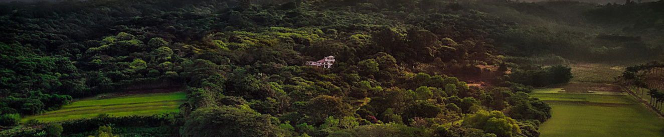 Fincarosablanca farm