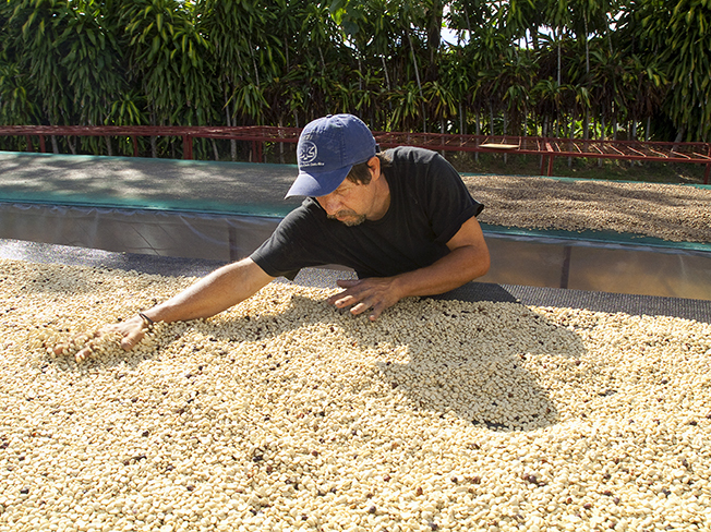 Slider coffee drying