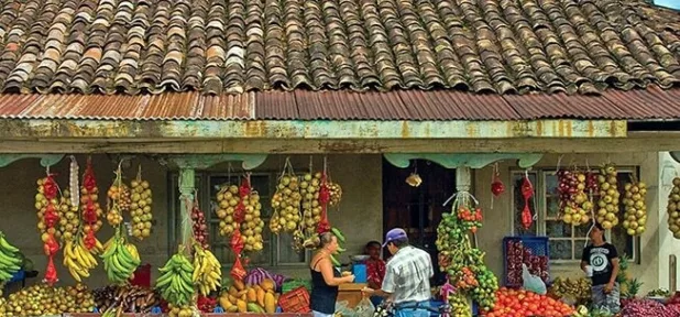 Fruit stand